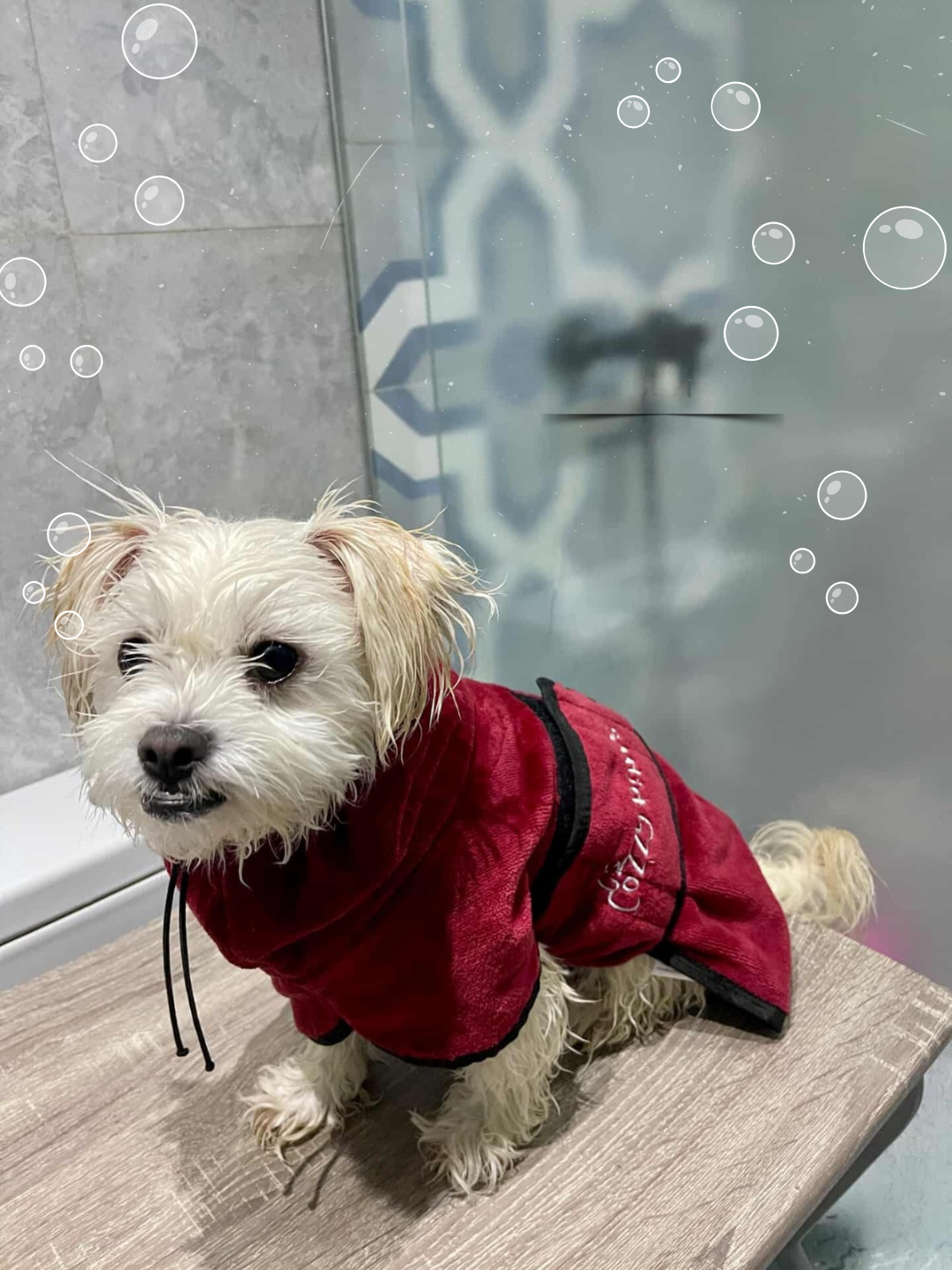 🐾 Peignoir de Bain pour Chien CozzyPaws – Doux, Chaud et Confortable 🐾 🐾 Peignoir de Bain pour Chien CozzyPaws – Doux, Chaud et Confortable 🐾