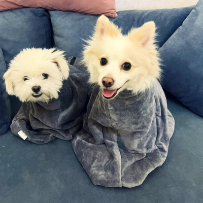 Sac de Séchage Luxe pour Chien – Confort & Élégance Sac de Séchage Luxe pour Chien – Confort & Élégance