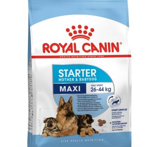 Royal Canin Maxi Starter 4 kg – Chienne & Chiot Grande Race