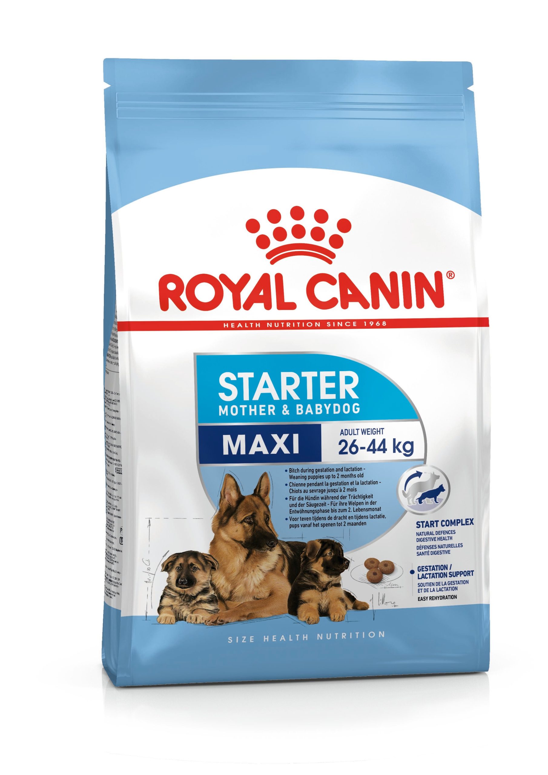 Royal Canin Maxi Starter 4 kg – Chienne & Chiot Grande Race