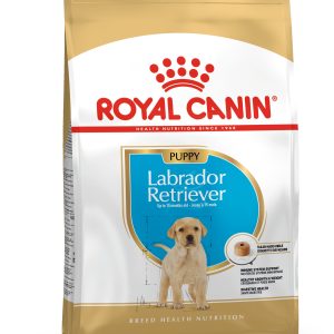 Croquettes Royal Canin Chiot Puppy Labrador Retriever Junior 12 Kg