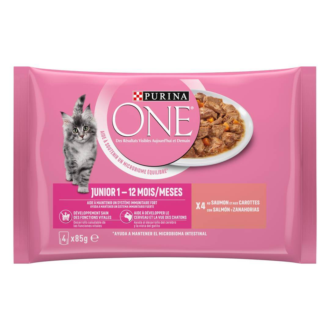 Purina ONE Junior Saumon & Carottes 4 x 85 g – Pâtée pour Chaton