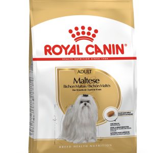 Royal Canin Croquettes pour chien Bichon Maltais Adulte 1,5KG