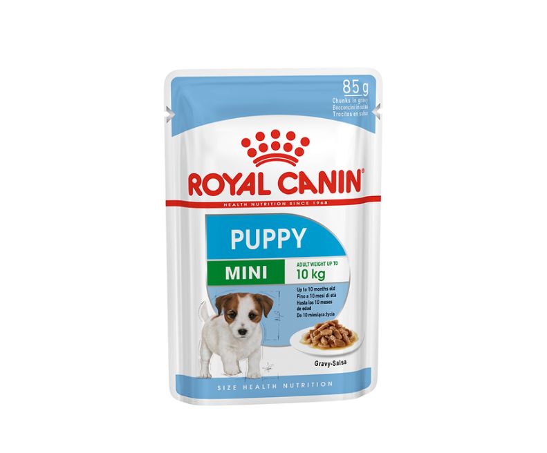 Royal Canin Mini Puppy 85 g – Pâtée en Sauce pour Chiot Petite Race