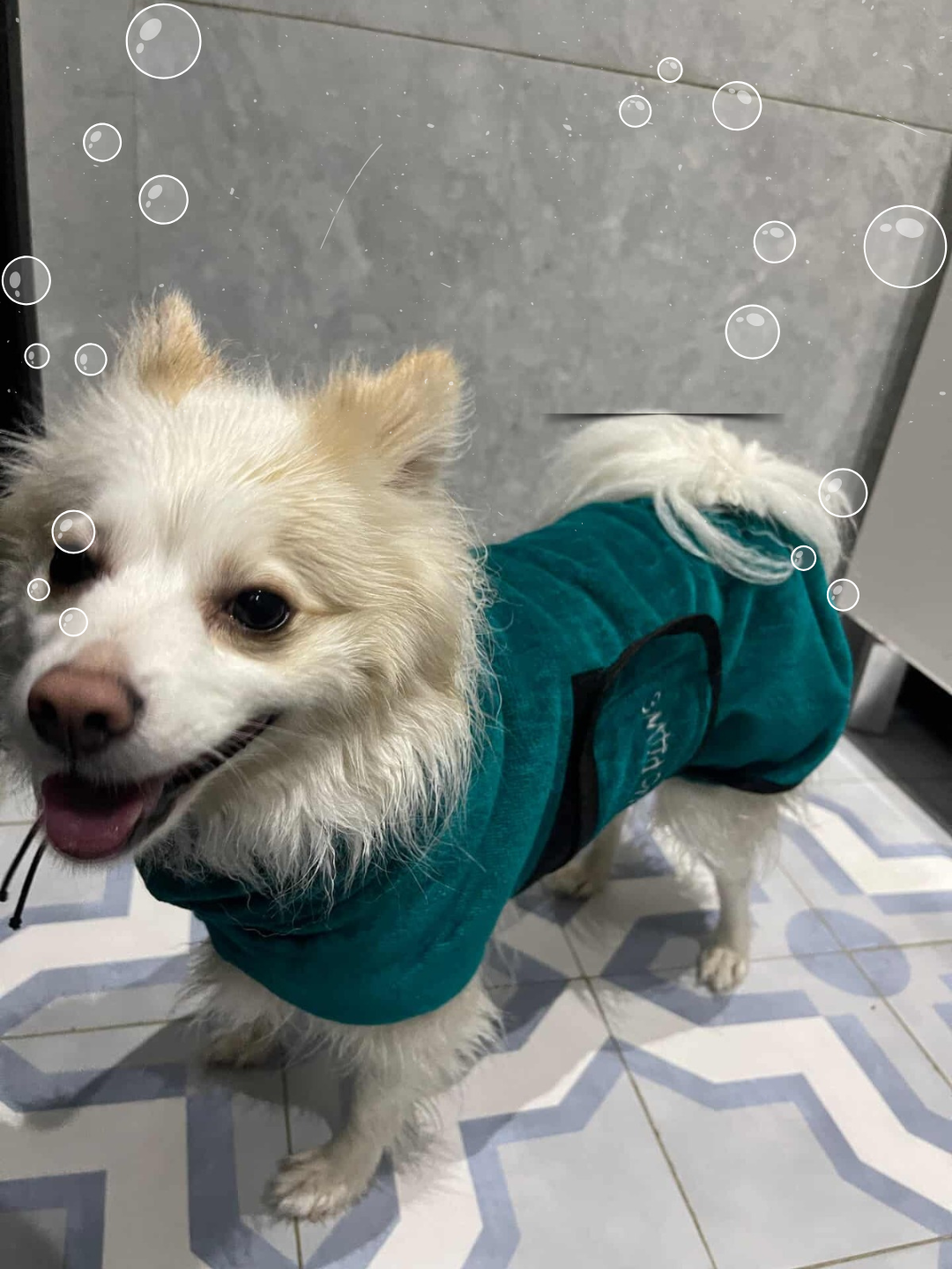 🐾 Peignoir de Bain pour Chien CozzyPaws – Doux, Chaud et Confortable 🐾 🐾 Peignoir de Bain pour Chien CozzyPaws – Doux, Chaud et Confortable 🐾