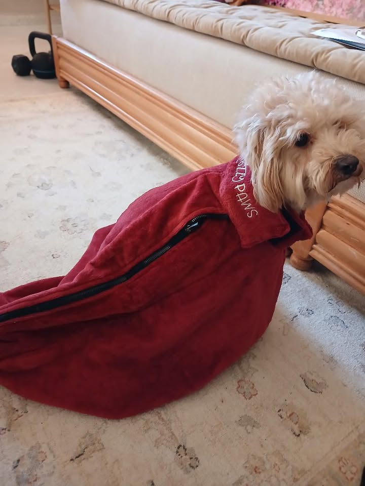 Sac de Séchage Luxe pour Chien – Confort & Élégance Sac de Séchage Luxe pour Chien – Confort & Élégance