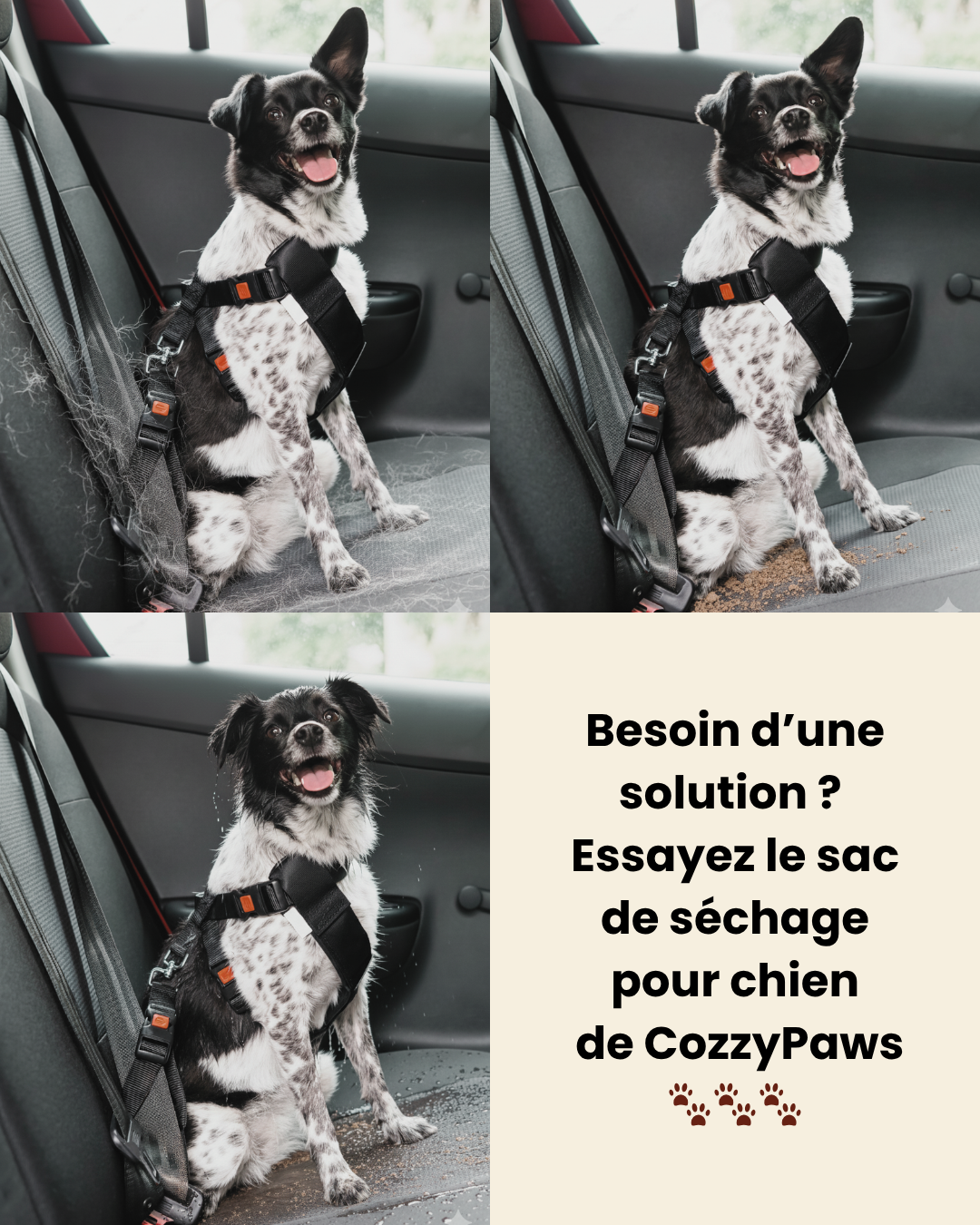 Sac de Séchage Luxe pour Chien – Confort & Élégance Sac de Séchage Luxe pour Chien – Confort & Élégance