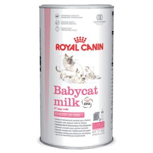 Lait pour Chaton Royal Canin Babycat Milk 300g premium