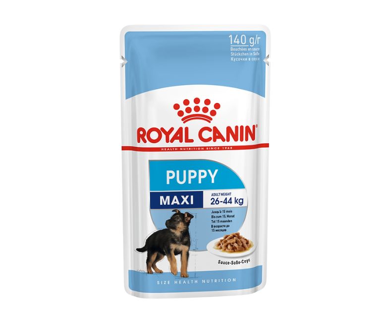 Royal Canin Maxi Puppy 140 g – Pâtée en Sauce pour Chiot Grande Race