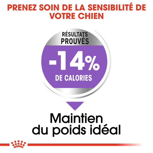 Royal Canin Mini Sterilised Adult 3 kg – Croquettes Petit Chien