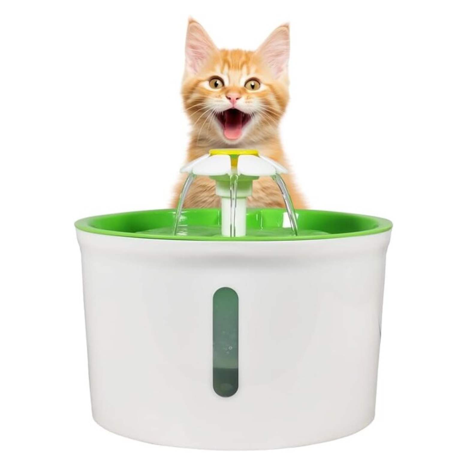 Fontaine à eau pour chat et chien en plastique
