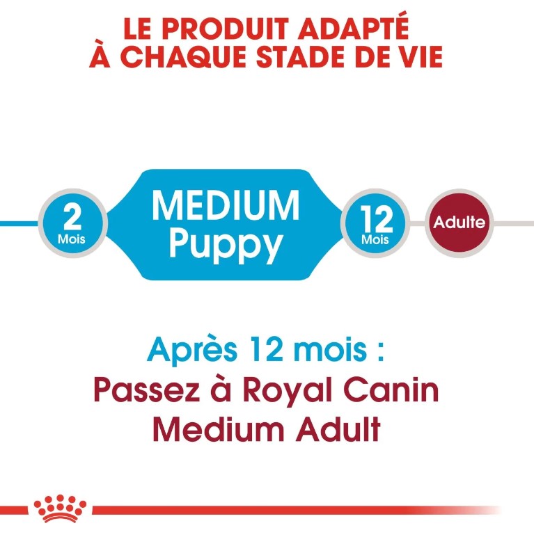 Royal Canin Medium Puppy 15 kg – Croquettes pour Chiot Race Moyenne