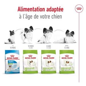 Royal Canin X – Small Adult – Croquettes pour Chiens Très Petites Races – 1.5 kg