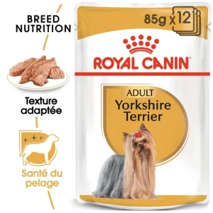 Royal Canin Yorkshire Terrier Adult 85 g – Pâtée pour Chien