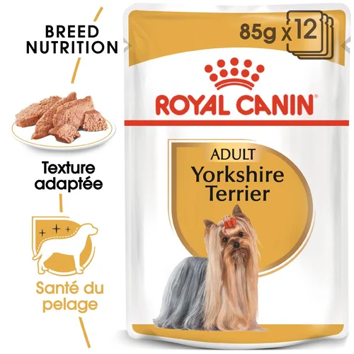 Royal Canin Yorkshire Terrier Adult 85 g – Pâtée pour Chien